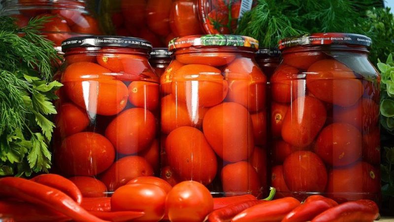 So kochen Sie gesalzene Tomaten lecker und einfach: Verwenden Sie die besten Rezepte erfahrener Hausfrauen