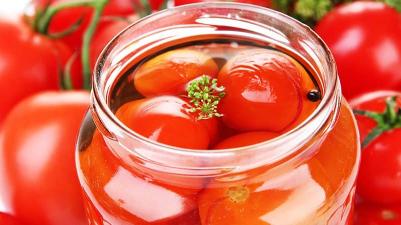 Cómo cocinar tomates salados de forma sabrosa y sencilla: utilice las mejores recetas de amas de casa experimentadas