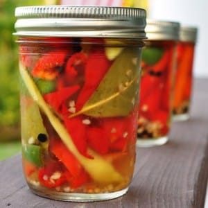 Cocinar un aperitivo picante en casa: cómo encurtir pimientos picantes para el invierno utilizando las mejores recetas de todo el mundo.