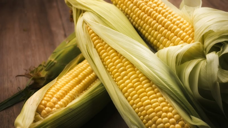 Calorie content of corn and features of its composition: vitamins, minerals and beneficial properties of the queen of the fields