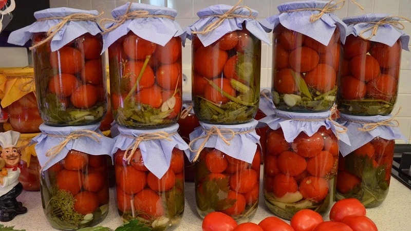 Canned tomatoes for the winter: a selection of the best recipes and useful tips for properly preparing twists