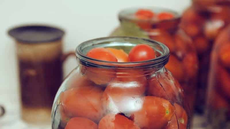 Canned tomatoes for the winter: a selection of the best recipes and useful tips for properly preparing twists