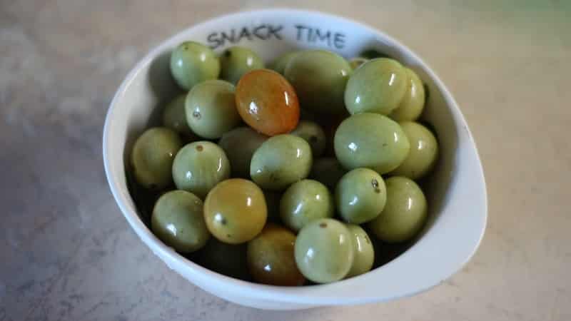 Os melhores métodos para conservar tomates verdes em um balde