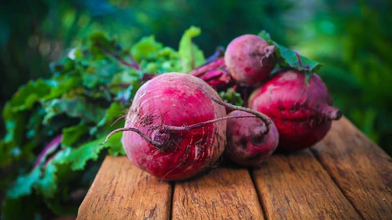 Las mejores formas de almacenar remolacha: elegir la adecuada y proteger el cultivo de daños