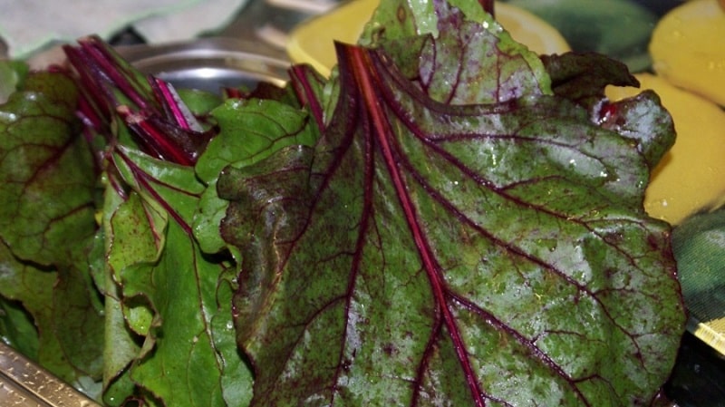 Ang pinakamahusay na paraan upang maghanda ng mga dahon ng beet para sa taglamig at mga recipe para sa kanila