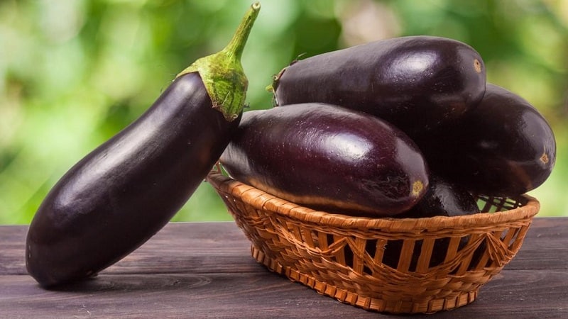 Is it possible to eat eggplants for gastritis: arguments for and against, acceptable methods of consumption