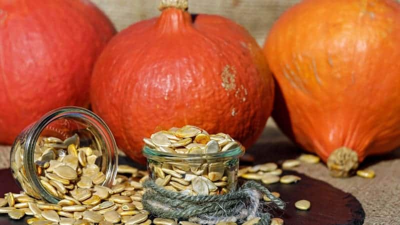 Is it possible to eat pumpkin seeds if you have type 2 diabetes and how to do it wisely