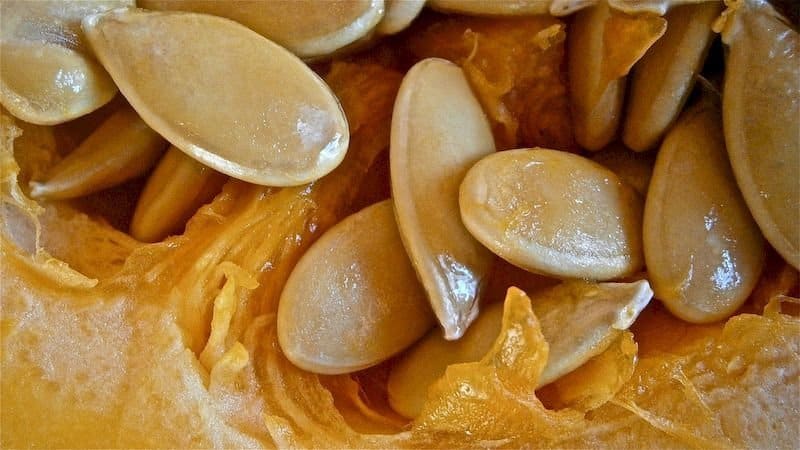 ¿Es posible comer semillas de calabaza si tienes diabetes tipo 2 y cómo hacerlo sabiamente?