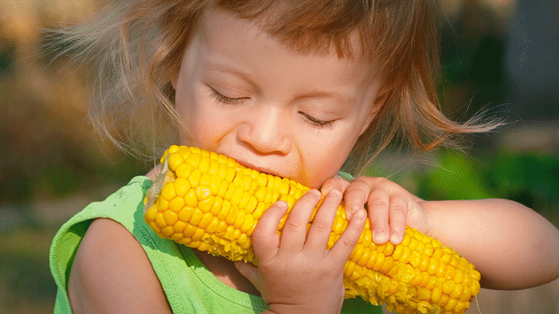 ¿Es posible comer maíz hervido mientras se pierde peso: contenido calórico, daños y beneficios del cereal?