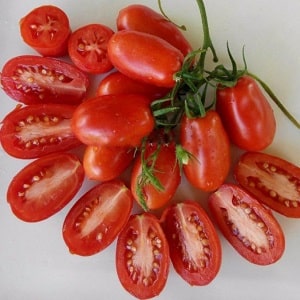 Easy to care for and ideal for pickling, the French bunch tomato: review of the variety and nuances of care