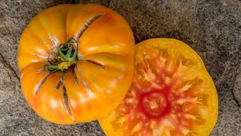 Saludo de miel de tomate increíblemente dulce y sorprendentemente hermoso