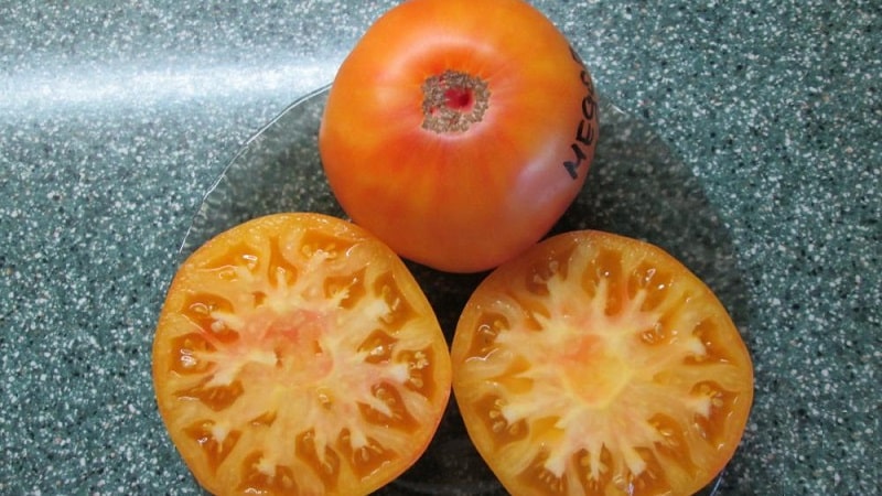 Saludo de miel de tomate increíblemente dulce y sorprendentemente hermoso