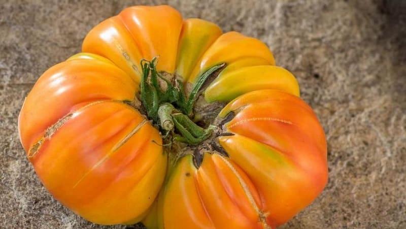 Saludo de miel de tomate increíblemente dulce y sorprendentemente hermoso