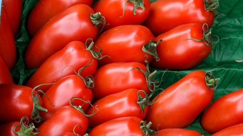 Bakit gustong-gusto ng mga hardinero ang Delicatessen tomato at kung paano ito palaguin sa iyong plot at makakuha ng masaganang ani