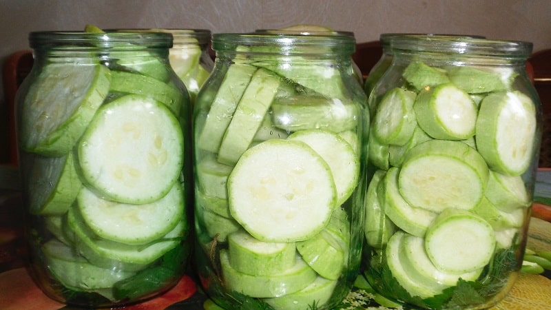 Una selezione delle migliori ricette di zucchine in scatola: cucina deliziosamente e sorprendi i tuoi ospiti