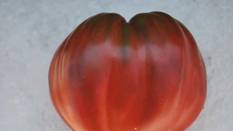 Recensione completa del pomodoro Cuore Nero di Breda: caratteristiche e descrizione della varietà, suoi vantaggi e svantaggi