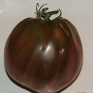 Buong pagsusuri ng Black Heart of Breda tomato: mga katangian at paglalarawan ng iba't, mga pakinabang at disadvantages nito