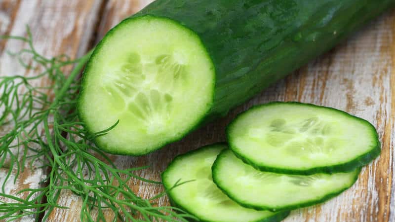 Health benefits and harms of bitter cucumbers