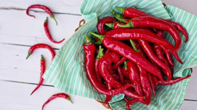 Los beneficios y daños del pimiento picante para los hombres.