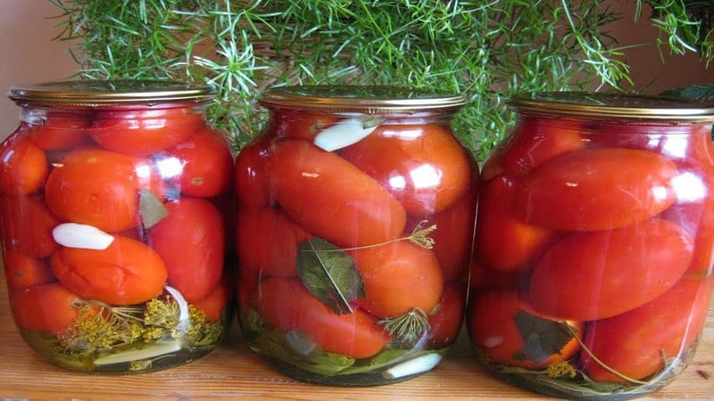 Die leckersten Rezepte für eingelegte Tomaten im Glas für den Winter: So bereiten Sie die Zubereitungen richtig zu und rollen sie auf