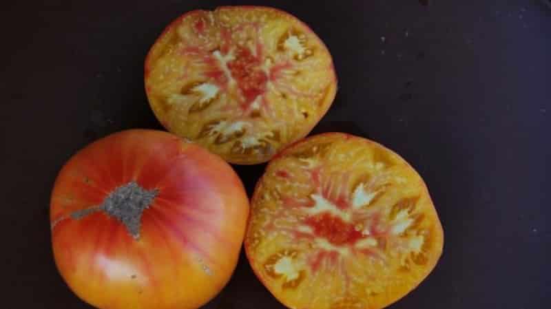 The variety that will become your favorite is the Grapefruit tomato: large, easy to care for and amazingly tasty