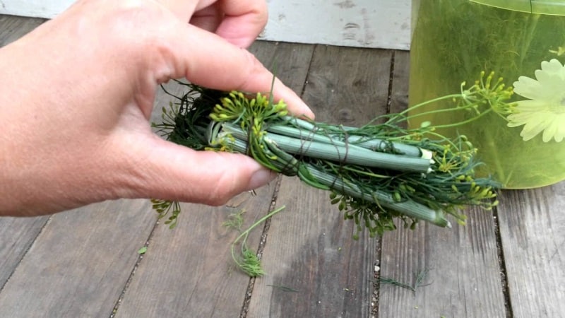 Ways to use dill stems for maximum benefit