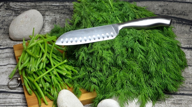 Ways to use dill stems for maximum benefit