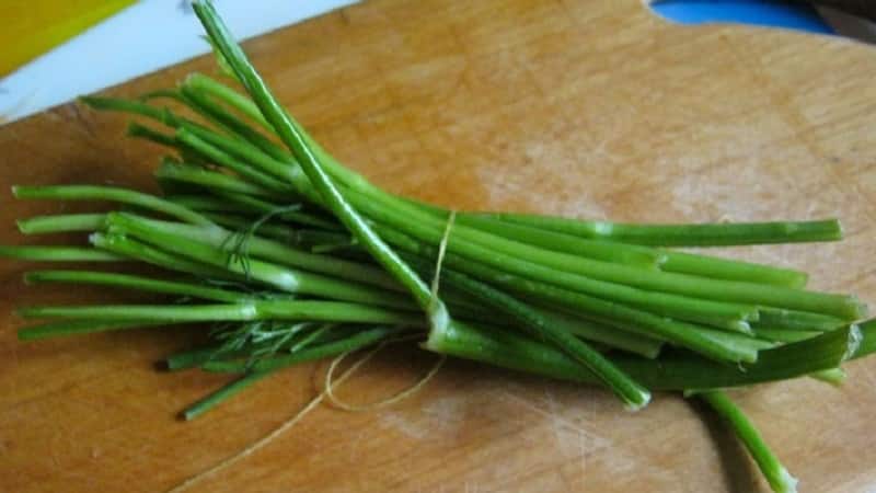 Ways to use dill stems for maximum benefit