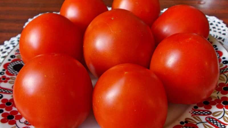 Super maagang iba't-ibang may kahanga-hangang ani - Zhenechka tomato: mga review, mga larawan, lumalaking mga lihim