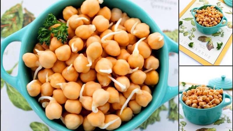 A nourishing and tasty storehouse of vitamins: chickpeas, the secrets of their use in cooking, cosmetology and folk medicine