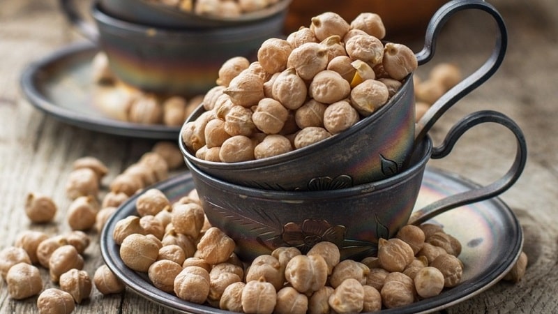 A nourishing and tasty storehouse of vitamins: chickpeas, the secrets of their use in cooking, cosmetology and folk medicine