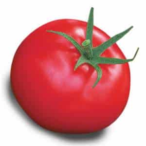 Aphrodite f1 tomato, beloved by gardeners in all regions of the country: reviews, advantages and disadvantages of the variety