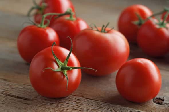 Hadiah dari penternak Ural untuk kawasan dengan iklim sejuk - tomato Red Guard