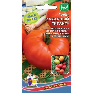 Wir sammeln 5-6 kg Tomaten aus einem Busch und züchten eine Sugar Giant-Tomate