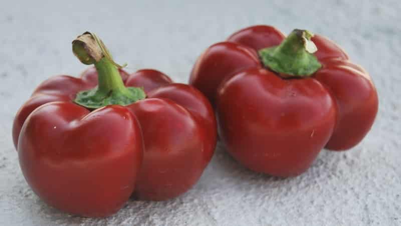 Top 10 beste soorten dikwandige paprika's voor de volle grond