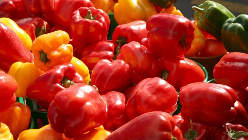 Top 10 beste soorten dikwandige paprika's voor de volle grond