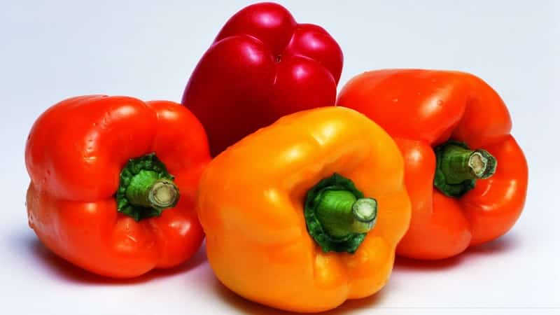 Top 10 beste soorten dikwandige paprika's voor de volle grond