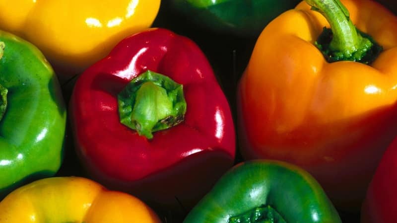 Top 10 best varieties of thick-walled sweet peppers for open ground