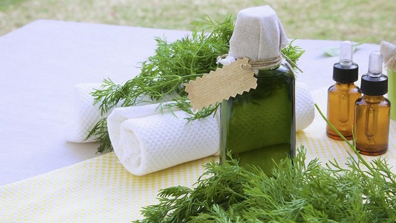 Let's learn how to make dill oil at home: preparation instructions and rules for using dill oil