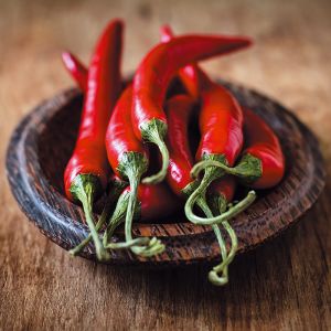 The harm and benefits of chili peppers for the body, the norms of its use