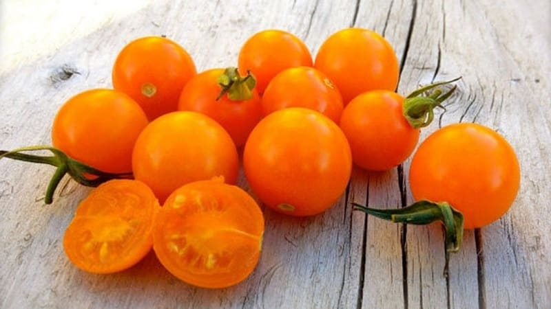 Coltiviamo pomodori canditi sul nostro terreno: pomodorini dolci