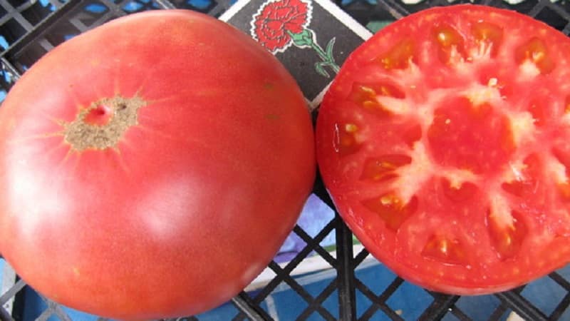 Nous cultivons la tomate Tsar's Gift par étapes, en commençant par les semis et en terminant par la récolte d'une récolte abondante.