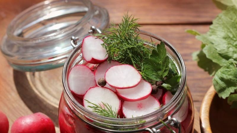 Preparando rabanetes para o inverno: receitas simples e saborosas de lanches saudáveis