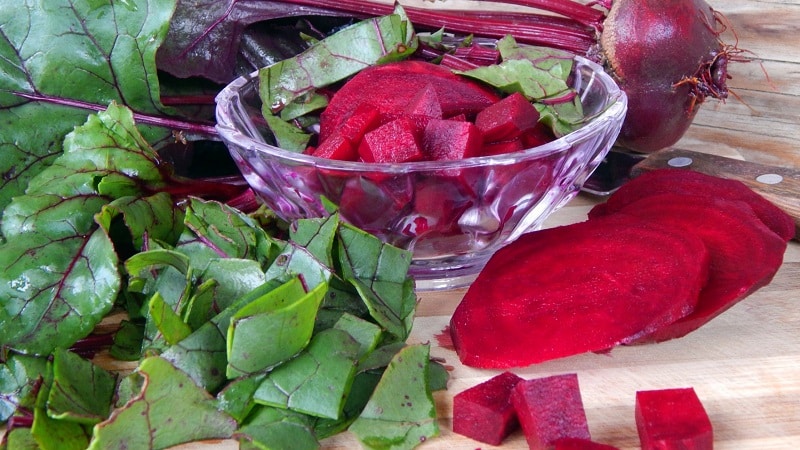 As melhores formas de preparar folhas de beterraba para o inverno e receitas para elas