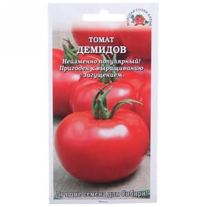 O tomate Demidov, famoso pela sua robustez e apreciado pelos jardineiros