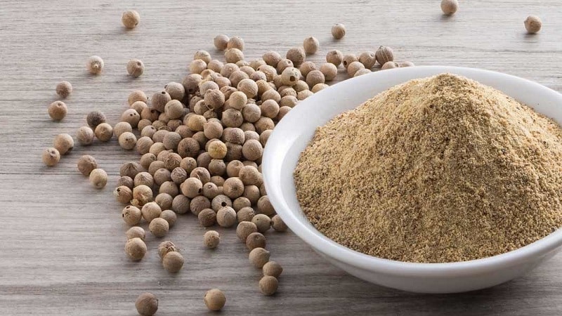 What is white pepper and how is it used in cooking, cosmetology and folk medicine?