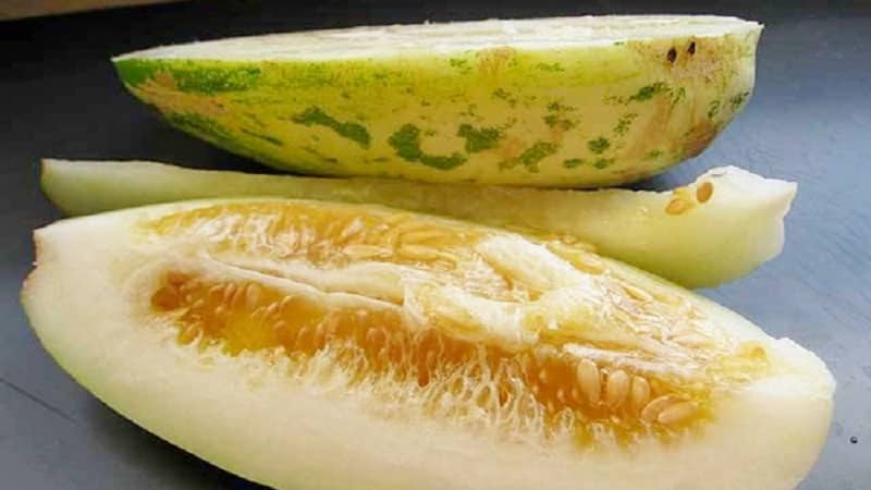 O que é pepino, como é cultivado e consumido?