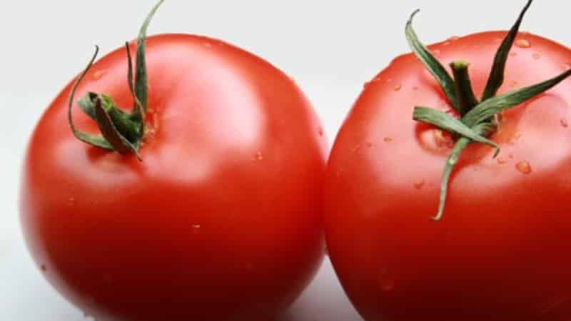 Een nieuwe hybride met krachtige struiken en een overvloedige oogst aan tomaten - tomaat Katrina f1