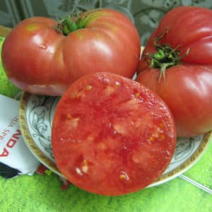 Cultivando um tomate gigante em seu próprio terreno: segredos de plantio e dicas de cuidados