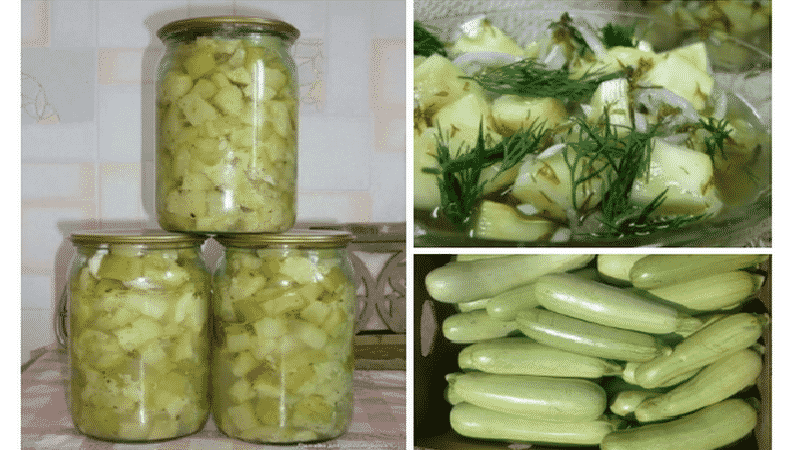 So kochen Sie Zucchini aus der Dose für den Winter: die leckersten und ungewöhnlichsten Rezepte für Zucchini